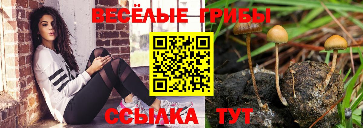 Псилоцибиновые грибы мицелий  Вход с VPN  Лабытнанги 