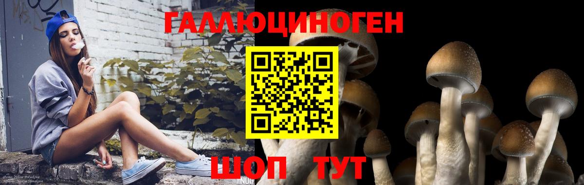 Псилоцибиновые грибы ЛСД Лабытнанги